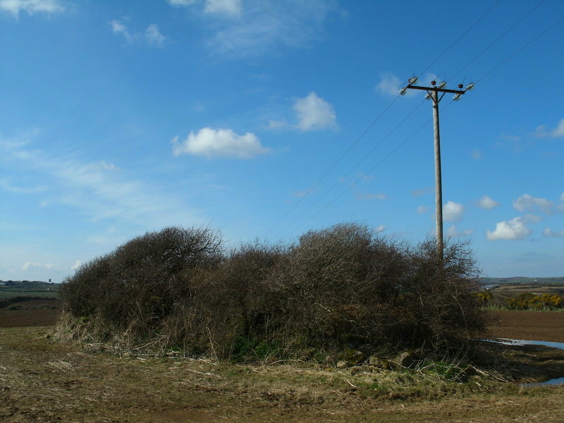 Click for the gallery page to add comments and vote (PID:132275) The Pipers barrow