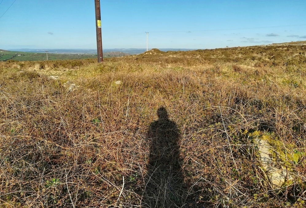 Tonkins Downs