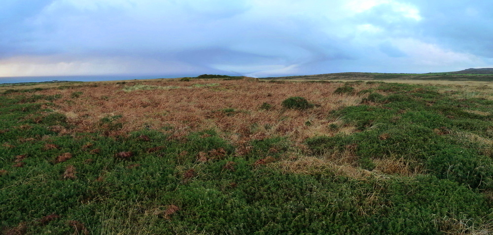 At SW44523633 is the remains of a ring barrow called 'The Beacon'.