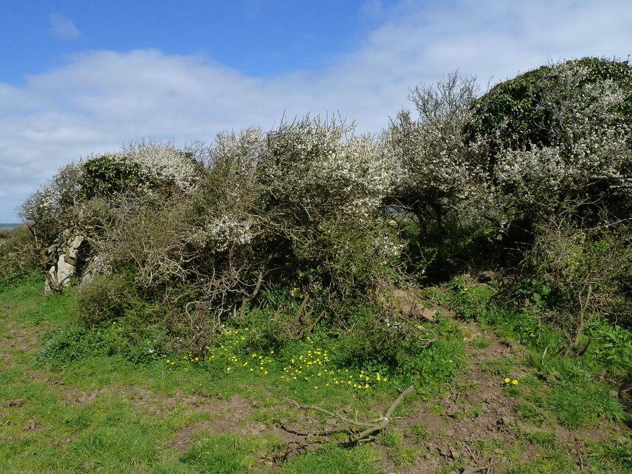 Click for the gallery page to add comments and vote (PID:166227) New Town Tumulus