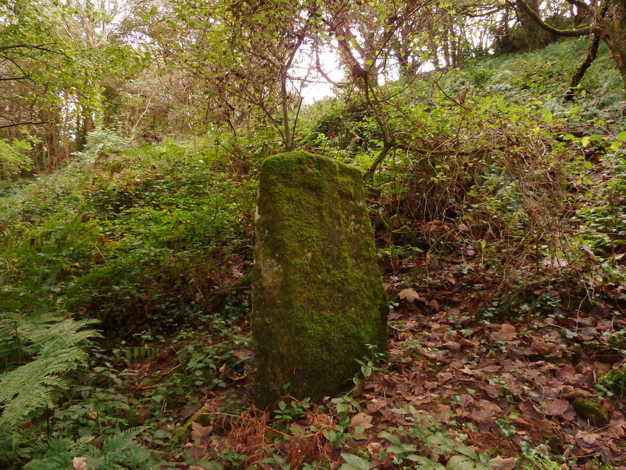 Click for the gallery page to add comments and vote (PID:161263) Lower Drift Cross