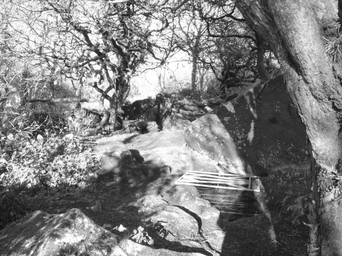 Chapel Euny Well 2