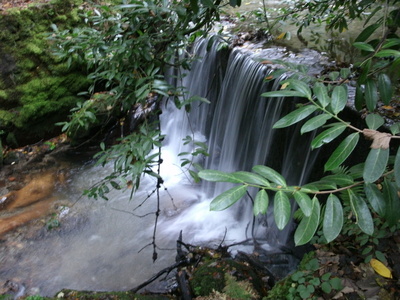 Click for the gallery page to add comments and vote (PID:98314) Menacuddle