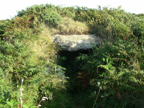 Click for the gallery page to add comments and vote (PID:98490) Treen Entrance Grave (SW)