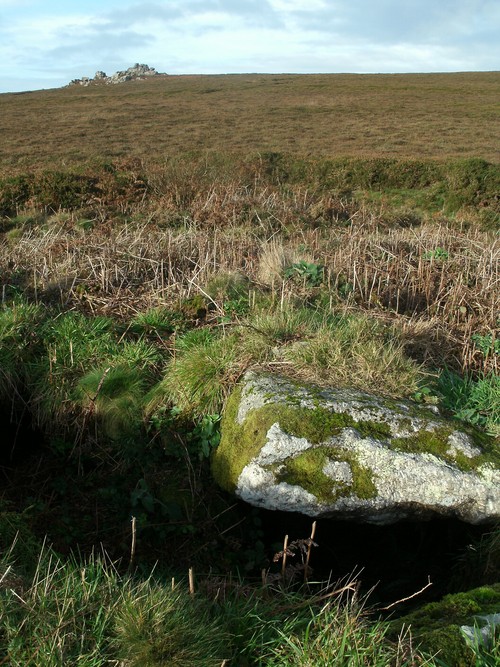 Click for the gallery page to add comments and vote (PID:98488) Truthwall Common barrows