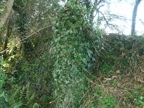 Click for the gallery page to add comments and vote (PID:98495) Newham farm standing stone
