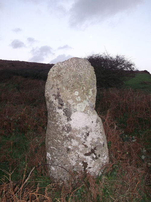 Click for the gallery page to add comments and vote (PID:98731) Kerrowe Menhir