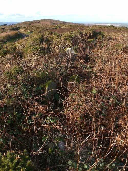 Tregonning hill tumulus