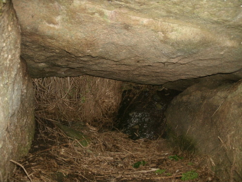 Click for the gallery page to add comments and vote (PID:101568) Trewavas Cliff Chambered Cairn