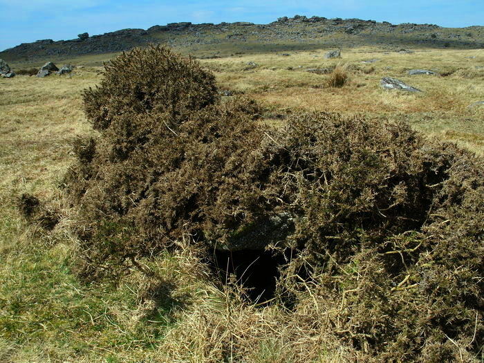 Bearah Tramway cist