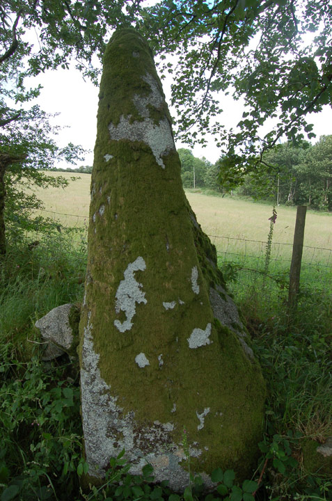Mutton Downs Menhir