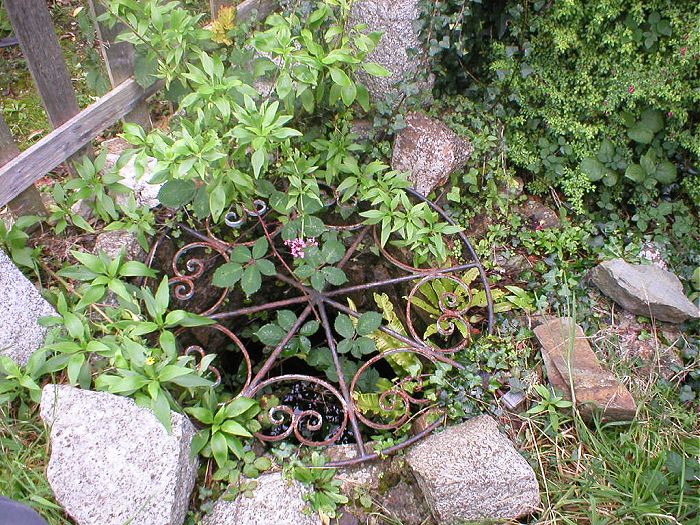 St Phillack's Well
