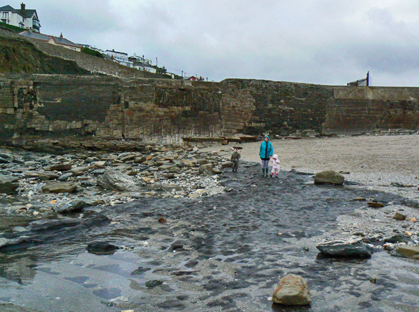 Click for the gallery page to add comments and vote (PID:44487) Portreath Submerged Forest