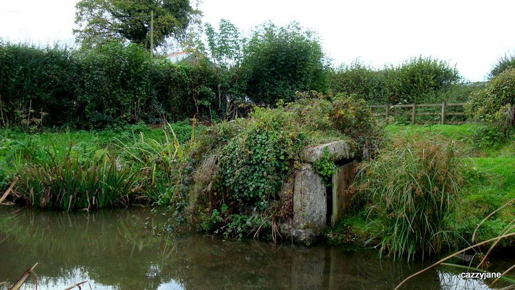 St John's Well (Caradon)