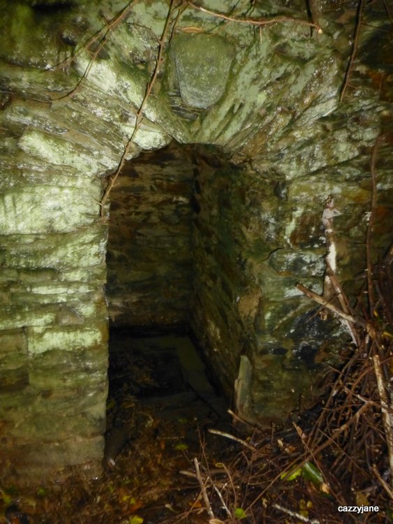 St Mawnan's Holy well.  In a ravine in a private garden of the old rectory now called the Sanctuary. It is wonderfully atmospheric here - especially when I visited in the fading light with the wind whistling all around.   The water is clear and the well is about 6ft deep.