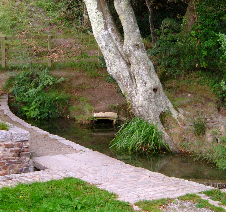 St Petroc's Holy Well