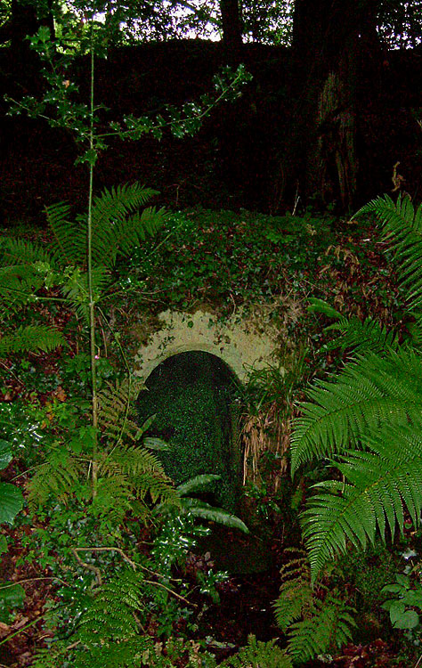 St Torney's Holy Well