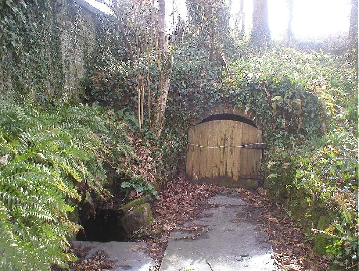 St Kew's Well