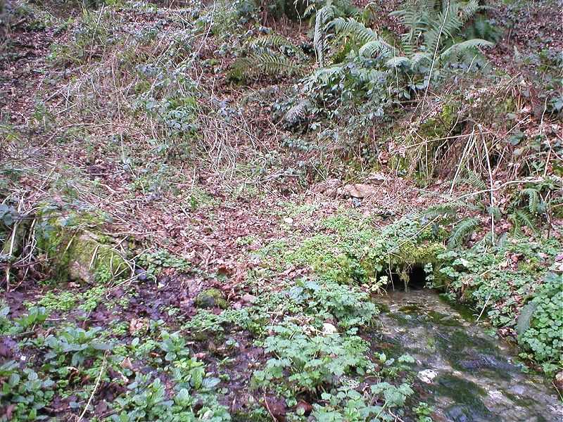 Click for the gallery page to add comments and vote (PID:12605) St Mary's Well (Rosenannon)