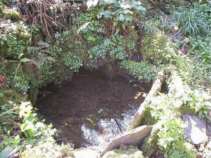 Click for the gallery page to add comments and vote (PID:12860) St Mathiana's Well