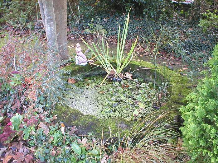 St Meriasek's Well