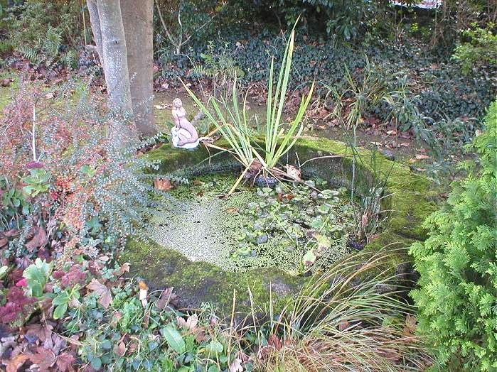 This well is on Tehidy Road, the turning in to Rosewarne Gardens.  Go to the left and you find the well, it is basically on the other side of the wall to the Richard Trevithick plaque.