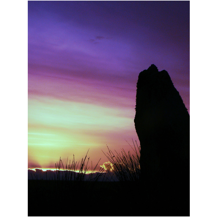 Click for the gallery page to add comments and vote (PID:44424) Fernacre