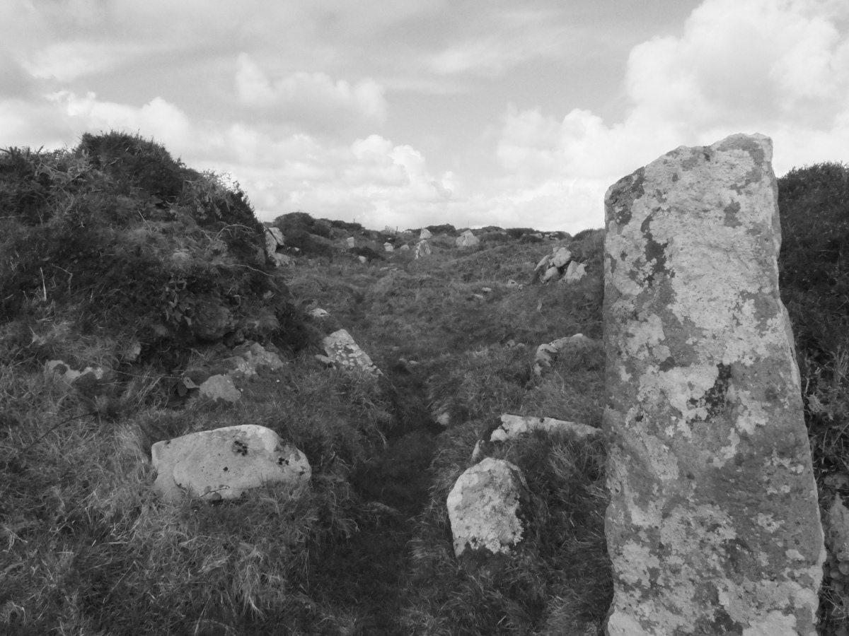 Click for the gallery page to add comments and vote (PID:224433) Bosullow Trehyllys Settlement