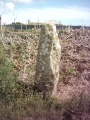 Kemyel D Stone - PID:275935
