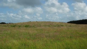 Wilsworthy Cross Barrows