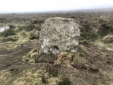 Kenidjack Common holed stones