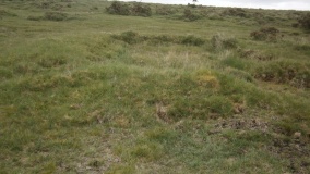Redmoor Marsh