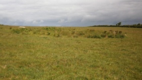 Twelve men's moor cairn and cist