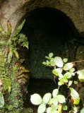 St Torney's Holy Well