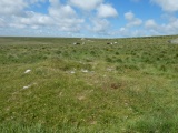 Louden Hill Cairn 2 - PID:245007