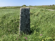 Waterpit Down