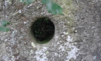 Merry Maidens Holed Stone - PID:203065