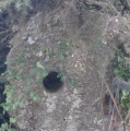 Merry Maidens Holed Stone - PID:203067