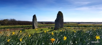 Drift Stones