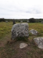 Boscawen Un - PID:203069