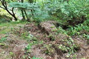 St Ia's Well (Troon) - PID:246256