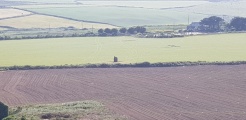 Chapel Carn Brea Menhir - PID:259115