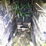 St Morwenna's Well