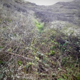 St Morwenna's Well