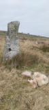 Siblyback Menhir - PID:302752
