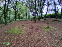 Trevaylor Hut