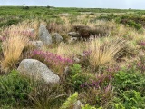 Bosiliack Huts - PID:247270