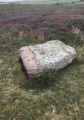 Kenidjack Common holed stones