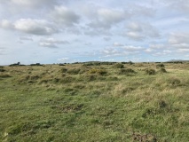 Manor Common North