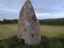 Drift Stones